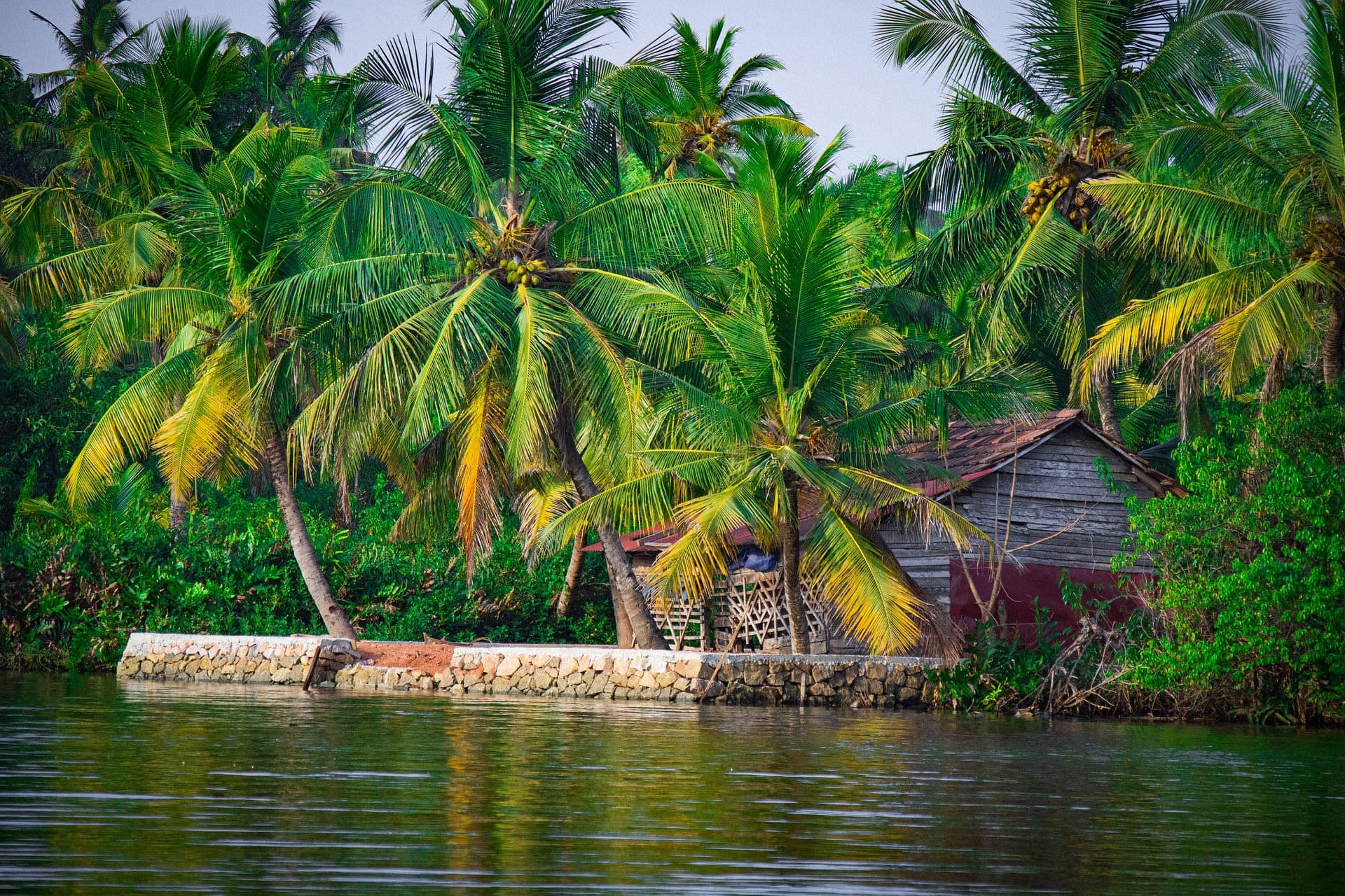 Places To Visit In Kerala