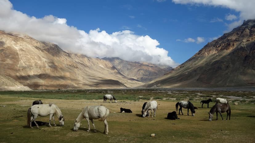 5 Nights 6 Days Manali Volvo Package - 3