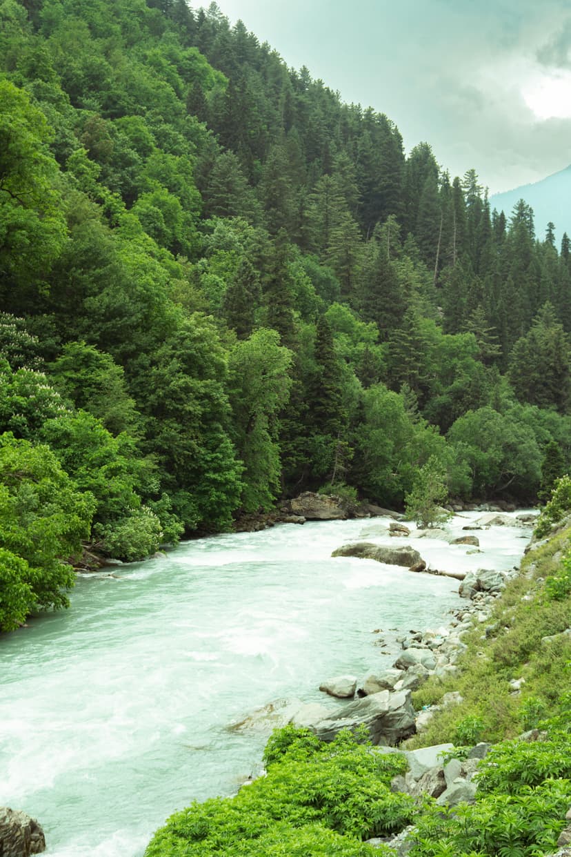 Delhi To Srinagar Tour Package For 4 Nights 5 Days - 3