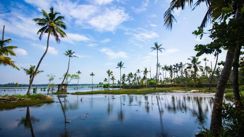 Discover Kerala Holiday – 4 Nights 5 Days Scenic Kerala Tour Package - 2