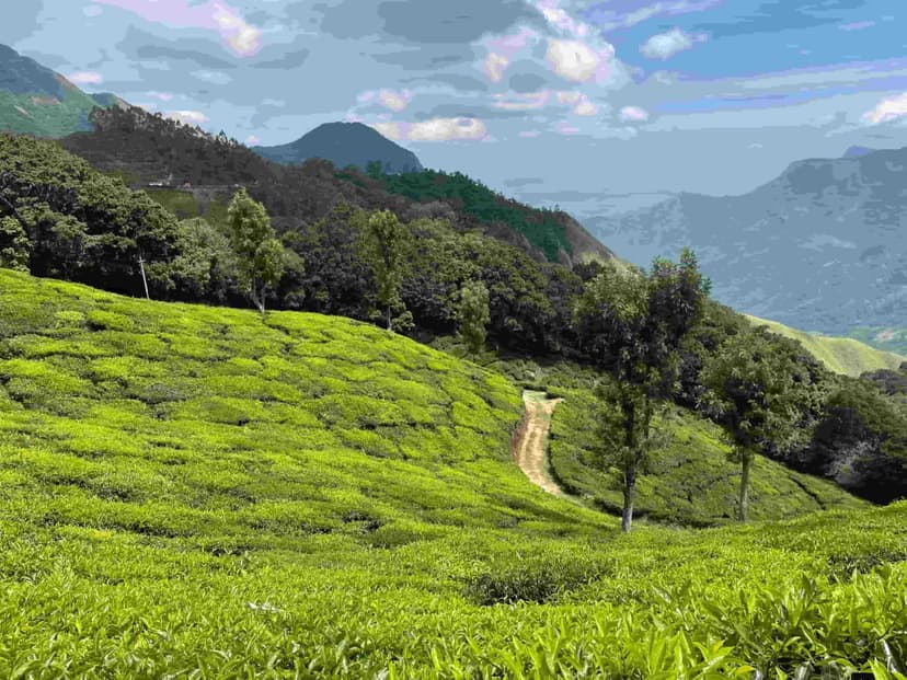 2 Nights 3 Days Kerala Tour Packages - 2