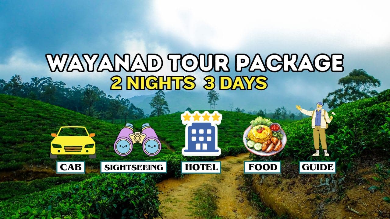 Bangalore to Wayanad Tour Package: A Beautiful Nature Escape and Weekend Getaway - Main
