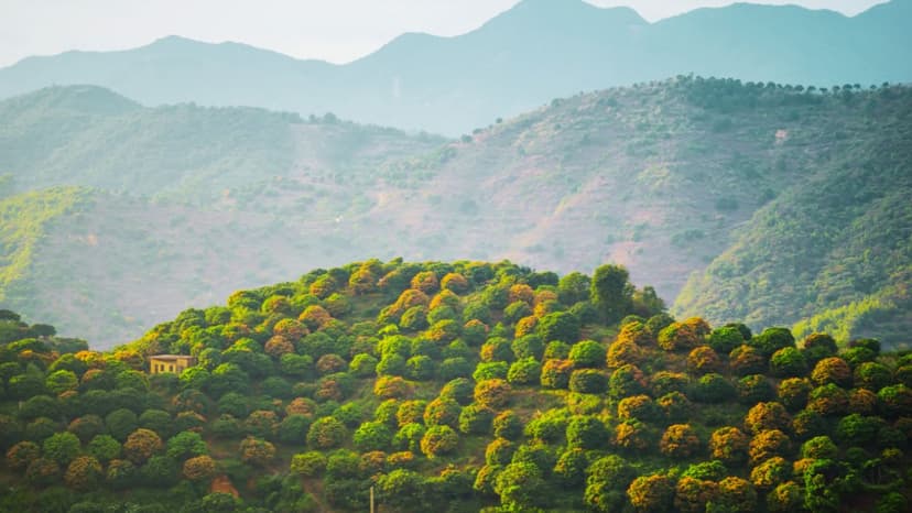 Bangalore to Wayanad Tour Package: A Beautiful Nature Escape and Weekend Getaway - 2