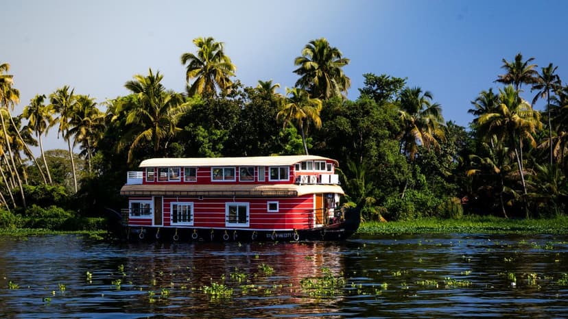 Kerala Honeymoon Packages 7 days: A Romantic Getaway to Munnar and the Backwaters - 2