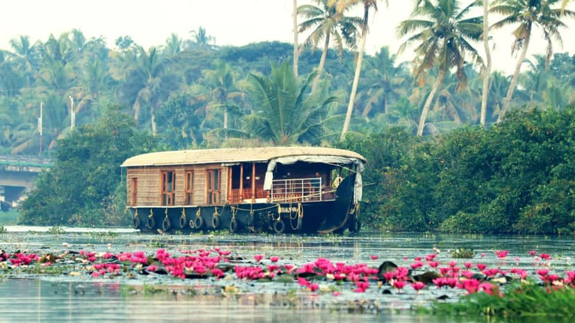 Kerala Honeymoon Packages from Delhi: A Romantic Getaway to Munnar and the Backwaters - 2