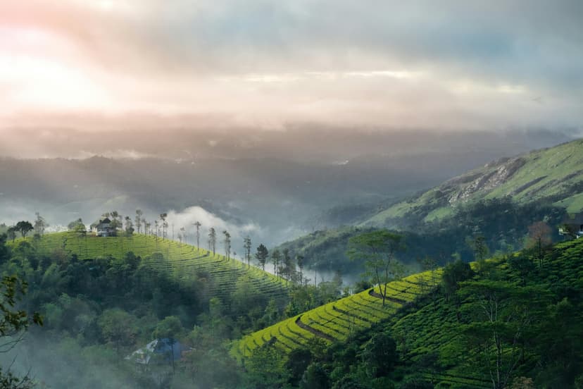 Mysore Coorg Wayanad Packages From Bangalore | Misty Hills & Calm Backwaters - 2