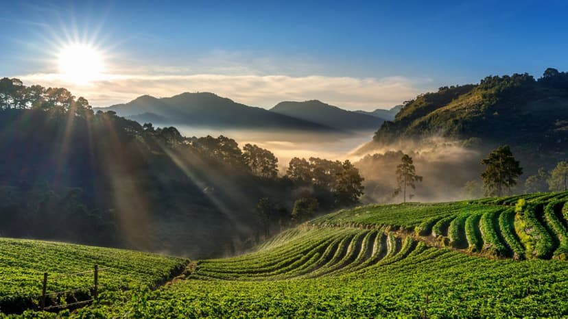 Rejuvenating Ayurveda Packages Kerala – Wellness Retreat & Healing Tour - 3