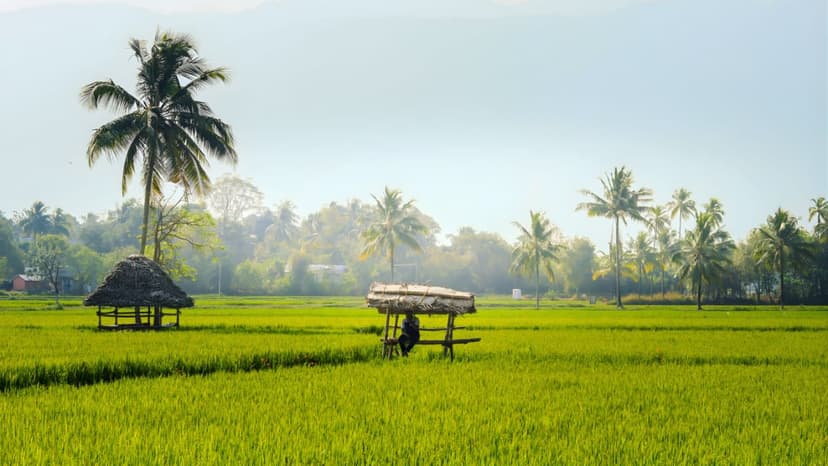 Munnar and Thekkady Tour Package – Hills, Wildlife & Nature Escape - 3