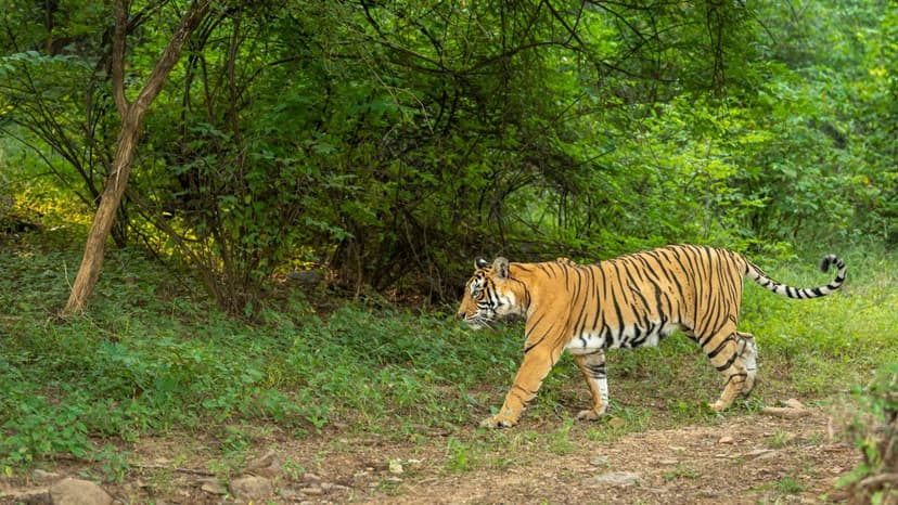 Kolkata Tour Package For 4 Nights 5 Days - 3