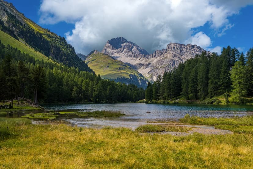 Kashmir Yusmarg Tour Package For 7 Nights 8 Days - 2