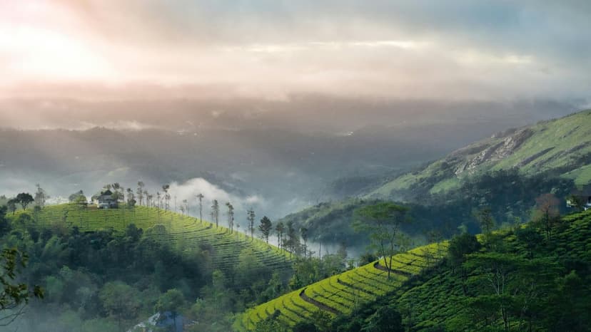 Kerala Houseboat Honeymoon - Couple Tour with Private Houseboat Experience - 2