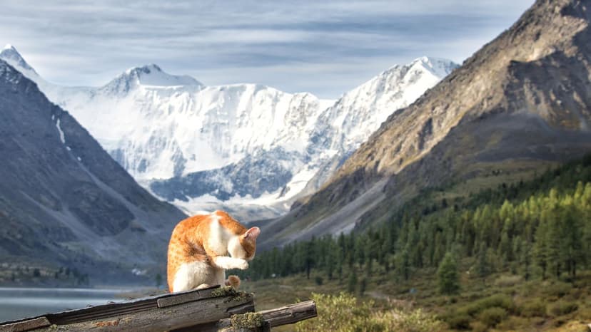 Amazing Gangtok Honeymoon For Couple - 3
