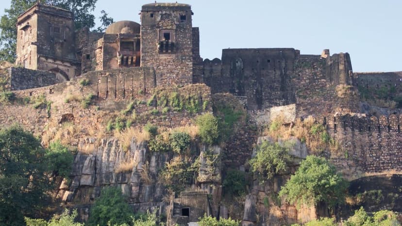 Sawai Madhopur Tour Package – Explore Ranthambore Wildlife & Nature - 2