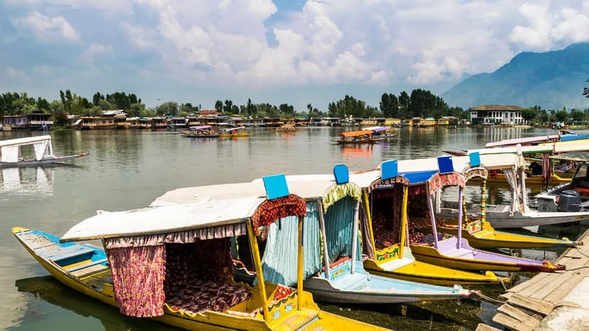 LTC Package Kashmir - 3
