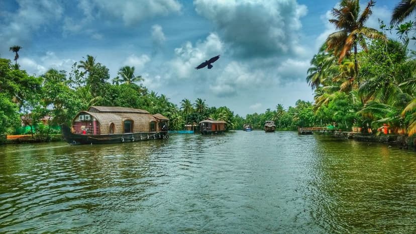 LTC Package Kerala – Best Kerala Tour Packages from Delhi - 3