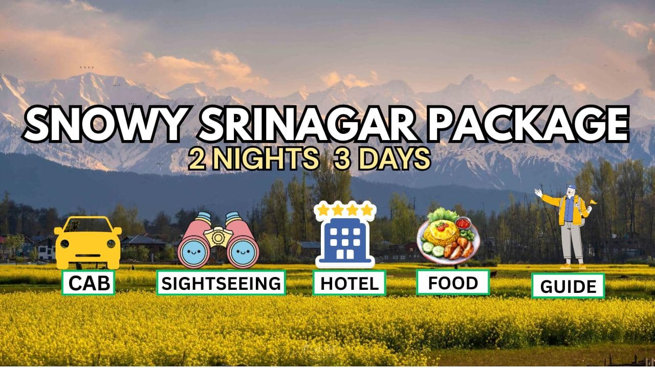 Snowy Srinagar Package - Main