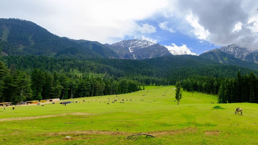 Snowy Srinagar Package - 2