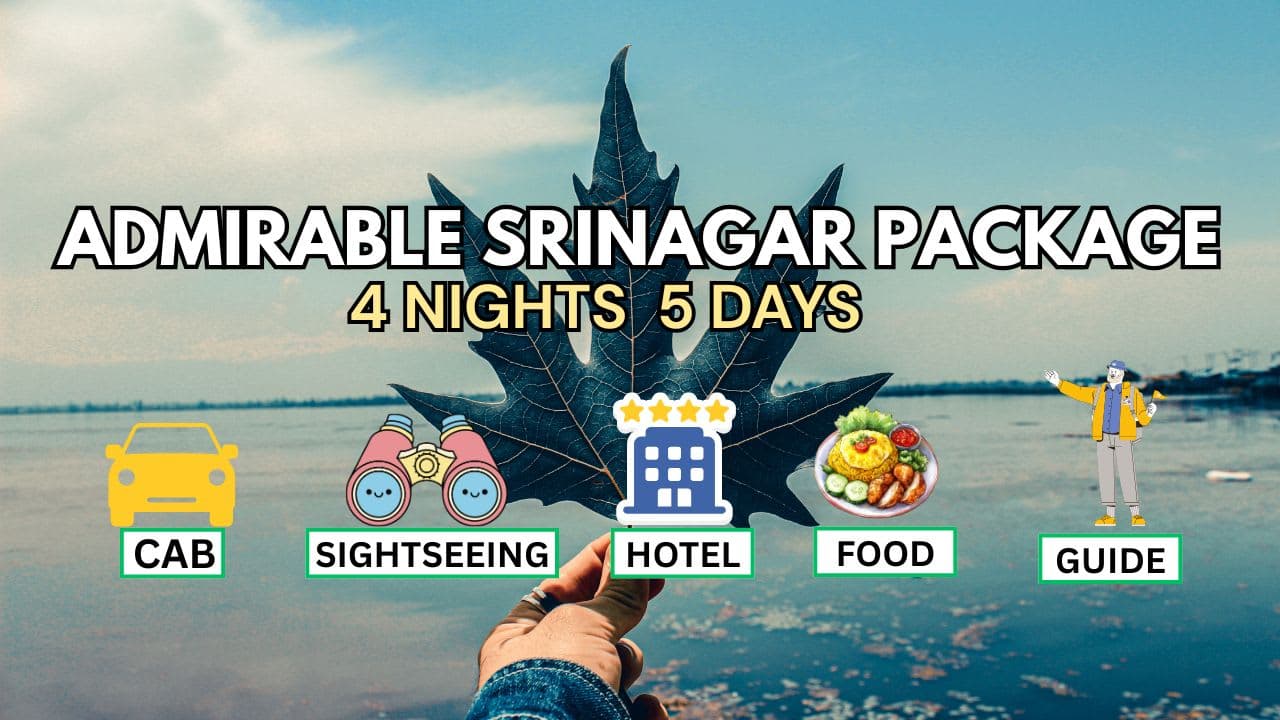 Admirable Srinagar Packages With Kashmir Sightseeing - Main