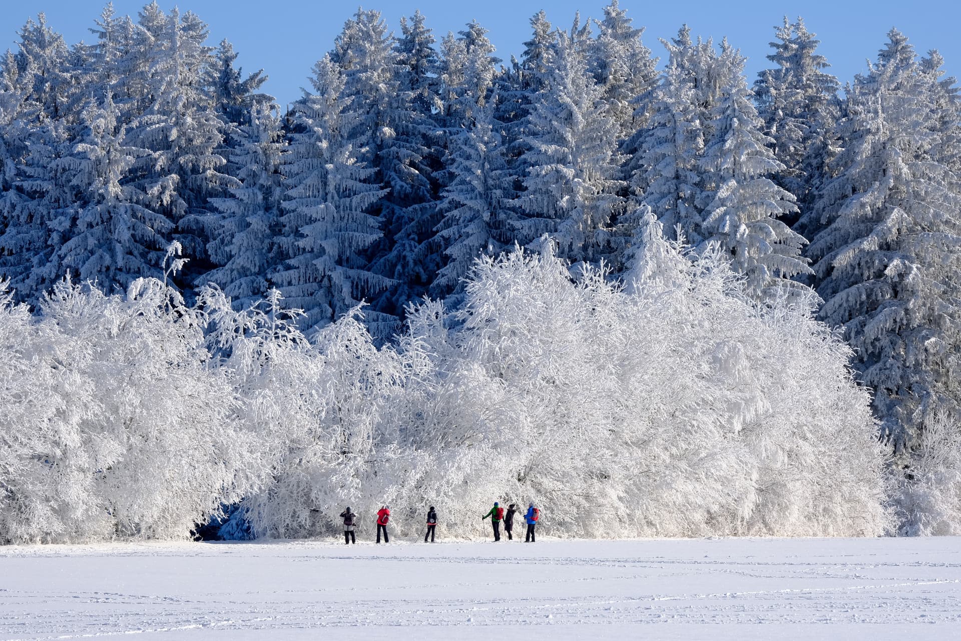 Srinagar Tour Packages 3n 4d - Enjoy Kashmir experience - Main
