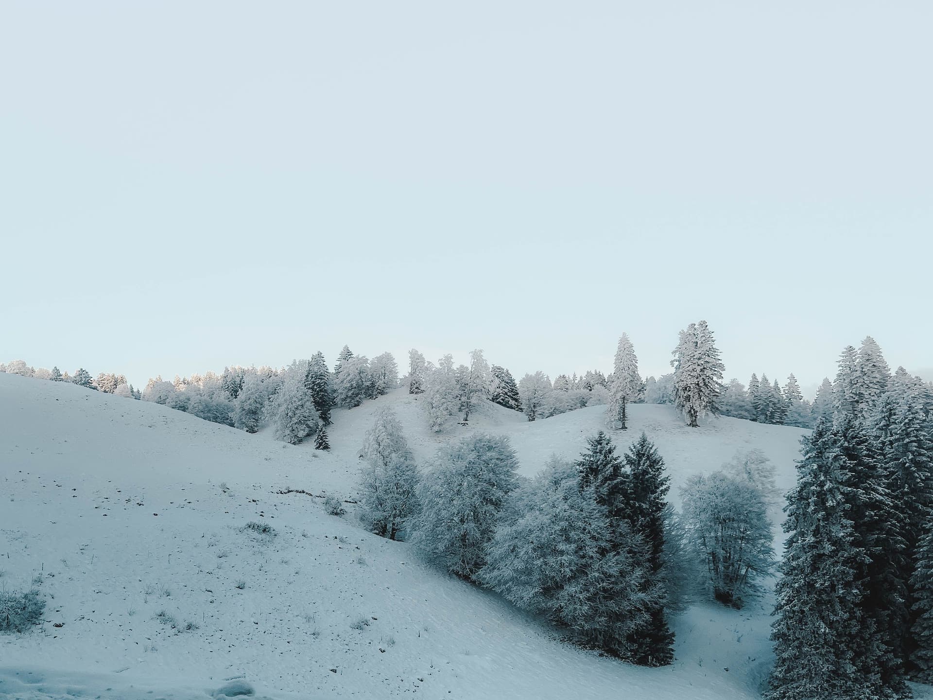 5 night 6 days Shimla Manali package - Main