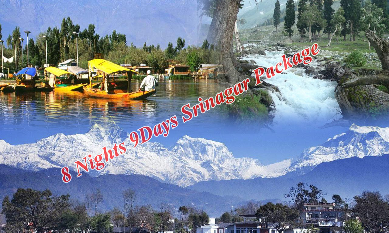 8_Nights_9_Days_Srinagar_Package.jpg