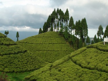Mirik_Darjeeling1.jpg