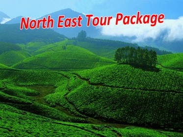 North_East_Tour_Package.jpg